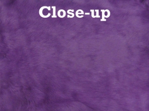 Dyed Trading Post Rabbit Skin: Purple 