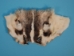 Reject Grade Badger Face - 19-01-RJ (Y1MC10)