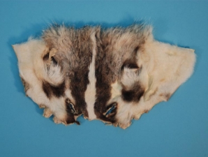 Reject Grade Badger Face 