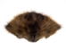 Beaver Face - 19-02 (Y1KRH)
