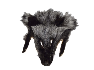 Silver Fox Face 
