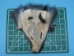 Indigo Fox Face - 19-04-57 (Y2KRJ)