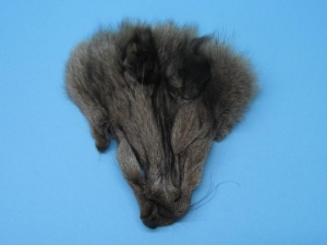 Dyed Fox Face: Assorted Color 