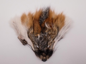 Reject Grade American Gray Fox Face 