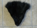 Coyote Face: Black Dyed: #1/2 - 19-05-BD12 (Y2KXX)