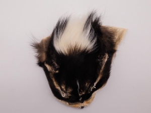 Skunk Face 