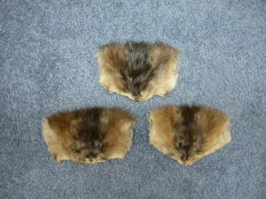 Muskrat Face 