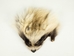 Arctic Finn Raccoon Face: Natural - 19-16N (Y1K)