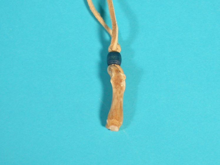 Ojibwa Beaver Foot Bone Necklace 