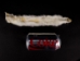 White Ermine Skin: Piece - 204-PC (Y2LRH)