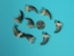 Real Black Bear Claw: Rear/Smaller Front (1" to 2" long on the curve) - 209-04-REAR-AS (Y2DC01 )