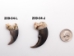 Real Black Bear Claw: 2" to 2.5" - 209-04-L-AS (Y2DC02)