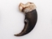 Real Black Bear Claw: 2" to 2.5" - 209-04-L-AS (Y2DC02)