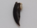Nutria Claw - 209-60 (Y2DC01)