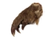 Real Front Beaver Feet - 21-50-1 (Y1HRB)