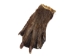 Real Back Beaver Feet - 21-50-2 (Y1GRF)