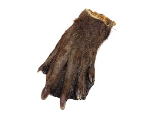 Real Back Beaver Feet 