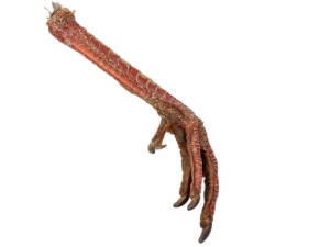 Turkey Foot 