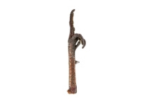 Turkey Foot: Fowl Finger 