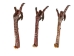 Turkey Foot: Rock Sign - 21-60R (Y1LRT)