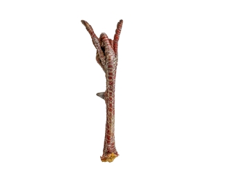 Turkey Foot: Rock Sign 
