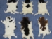 Mongolian Kalgan Lambskin: Natural Colors: Assorted - 215-100 (Y1HRK)