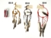 Navajo Medicine Wheel: 3" - 22-3 (Y2HC17)