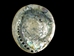Polished African Abalone Shell: Natural Red - 220-20-NR-S (Y3D)
