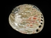 Polished African Abalone Shell: Natural Red - 220-20-NR-S (Y3D)