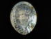 Polished African Abalone Shell: Natural Color - 220-20-S (Y3DRC)
