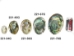 Mexican Green Abalone Shell: 3" to 4" - 221-34G (Y2HC10)