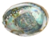 Mexican Green Abalone Shell: 3" to 4" - 221-34G (Y2HC10)