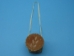 Attikamek Birchbark Rogan: Small - 226-S (Y3J)