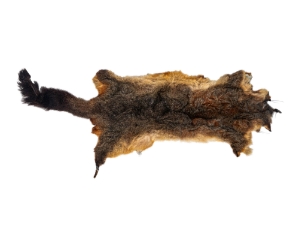 Australian Opossum Skin: Trading Post: Gray 