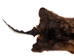 Australian Opossum Skin: Trading Post: Rusty Brown - 259-40-TP (Y1K)(Y3K)