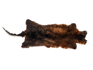 Australian Opossum Skin: Trading Post: Rusty Brown 