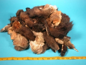 Opossum Fur Scrap (lb) 