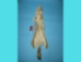 Trading Post Coyote Skin - 262-TP (Y2KWR)