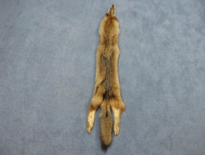 Trading Post Coyote Skin 