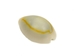 Ringtop Cowrie Shells (kg) - 269-274-KG (B1)
