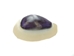 Purple Ringtop Cowrie Shell (kg) - 269-275-KG (Y3J)