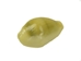 Yellow Money Cowrie Shells (kg) - 269-276-KG (Y3J)