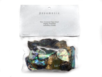 Polished Paua Shell: 100g 