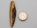 Tumbled Fossil Walrus Ivory Pieces (lb) - 275-10 (Y1XC02)(Y2LC04)