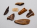Tumbled Fossil Walrus Ivory Pieces (lb) - 275-10 (Y1XC02)(Y2LC04)
