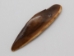 Tumbled Fossil Walrus Ivory Pieces (lb) - 275-10 (Y1XC02)(Y2LC04)