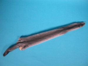 Female Ranch Mink Skin: Blue Iris 