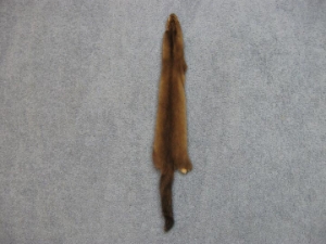 Female Ranch Mink Skin: Demi-Buff 