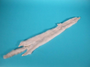 Female Ranch Mink Skin: Pearl 