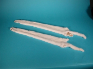 Female Ranch Mink Skin: White 
